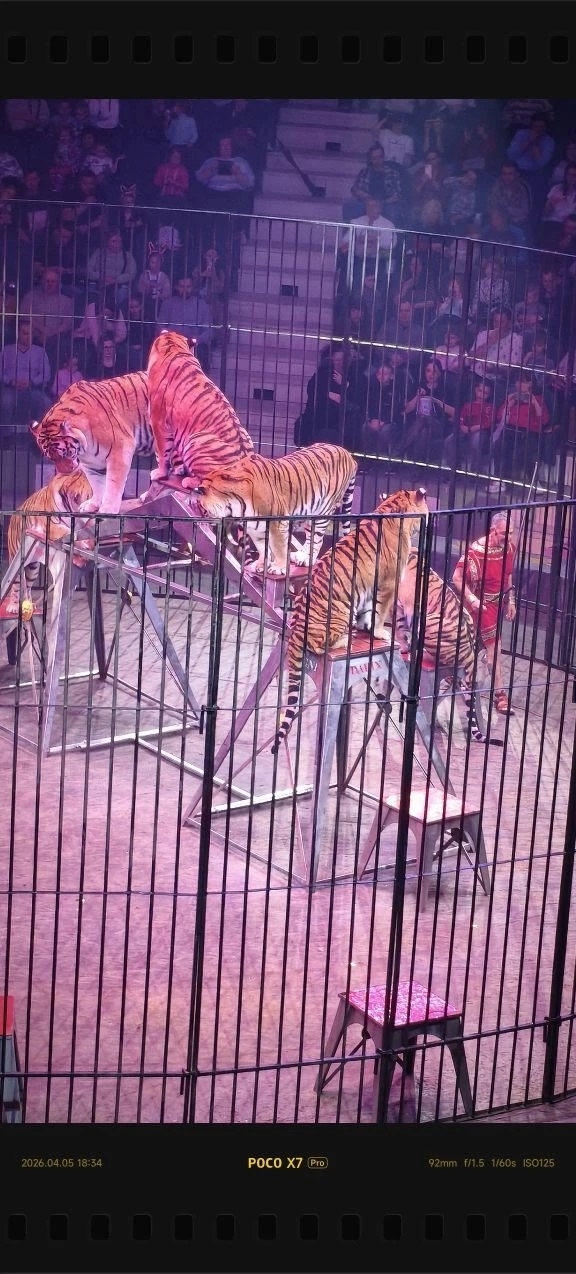 ������������� "����������� ����: ����� � �����"