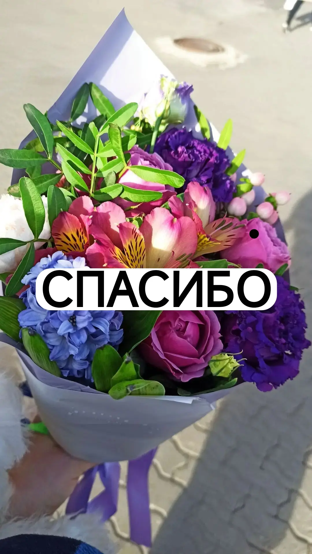 ������������� �� ������������