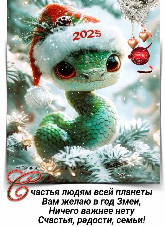 ����������� WhatsApp 2024-12-31 � 20.09.12_8af461c9.jpg