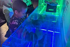 �������� �������������