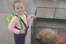 �������� ,,������� ����" � ��� "���" ����