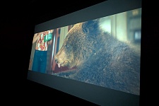 ������������� | "Foggy�s - Cinema