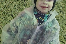 ��������� �� ��������� ����� BRAER
