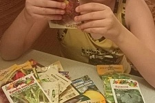 ������ ������� ����� �� ��������� ������