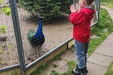 ��������� � ���� ���� "�������" � � ����� ������