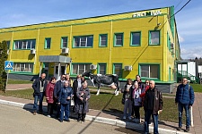 ������, ���������� � �������������: ��������� �� ����� ������������������