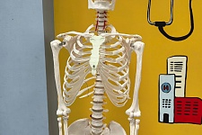 ���� ������ 