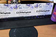 �������� 🎲 ������🏆� 8 �����