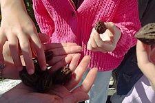 ������������ ���