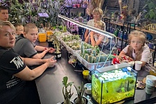 🌵 �������� ���: ��� ������� ���� ��� ���� � ������