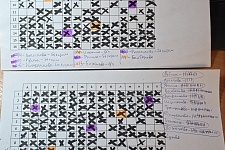 �������� 🎲 ������🏆� 8 �����